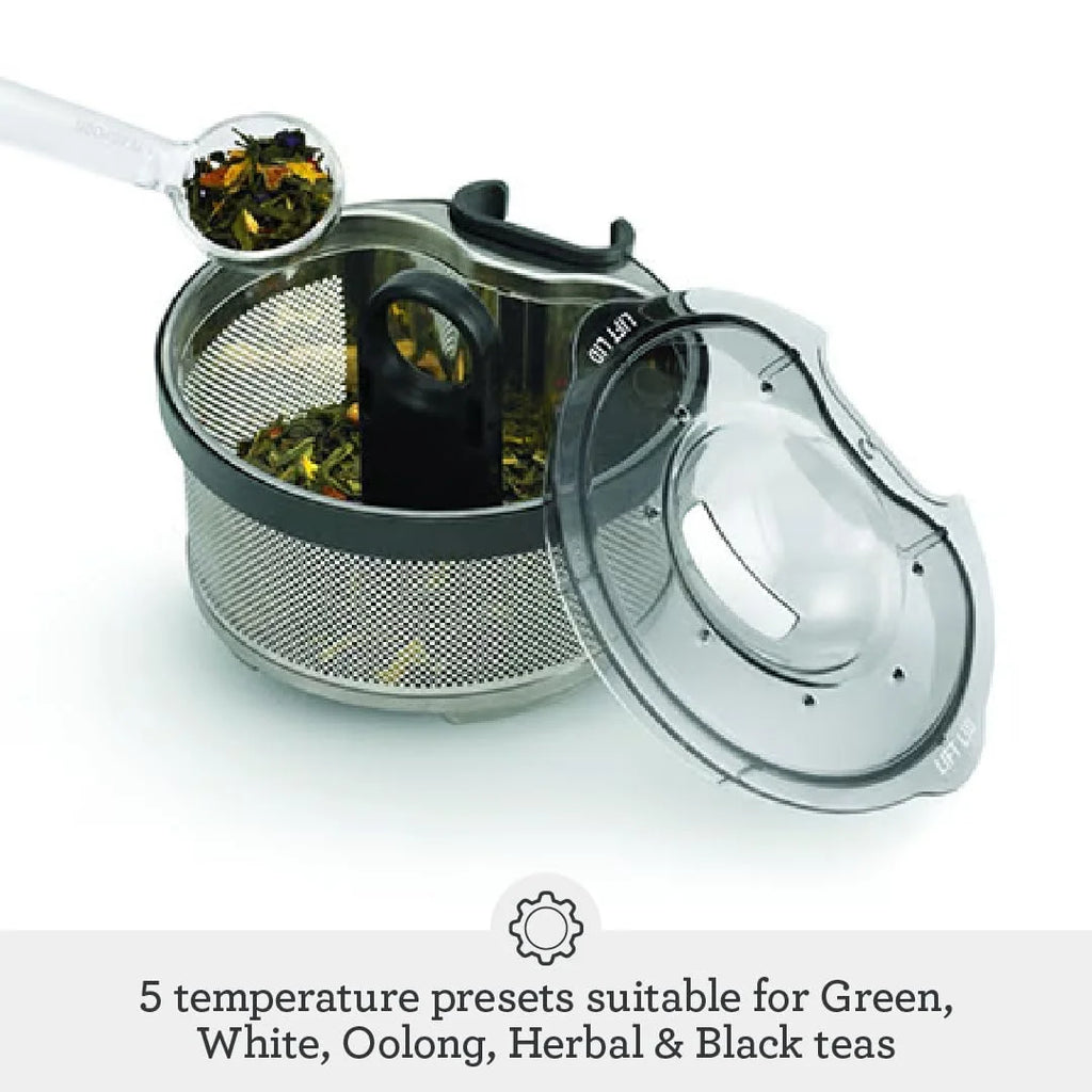 Brushed Stainless Steel Tea Maker T15125