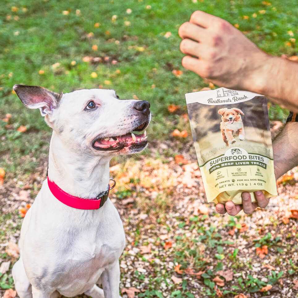 Beef Liver Treats 4 oz U521