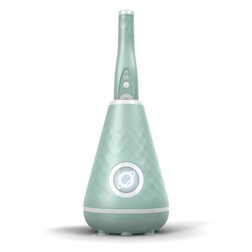 UV Sanitizing Sonic Electric Toothbrush, Seaglass Green S58524
