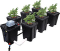7-Gallon Recirculating Deep Water Culture Hydroponic System H70973