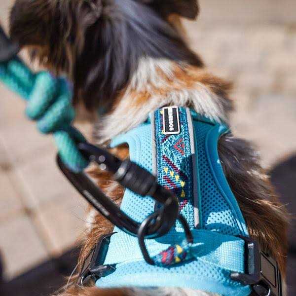 Harness D465
