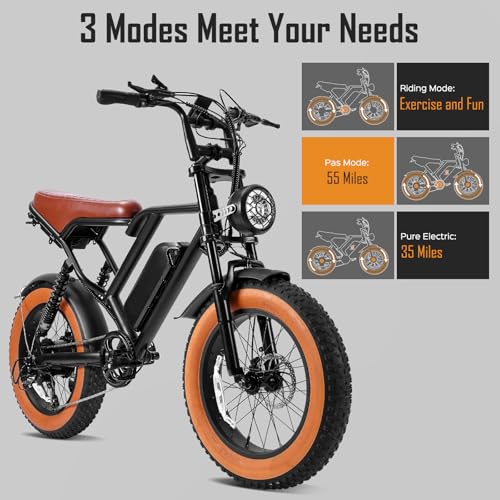 1000W 20" Fat Tire 48V 17.5AH Removable Battery Electric Bike V252