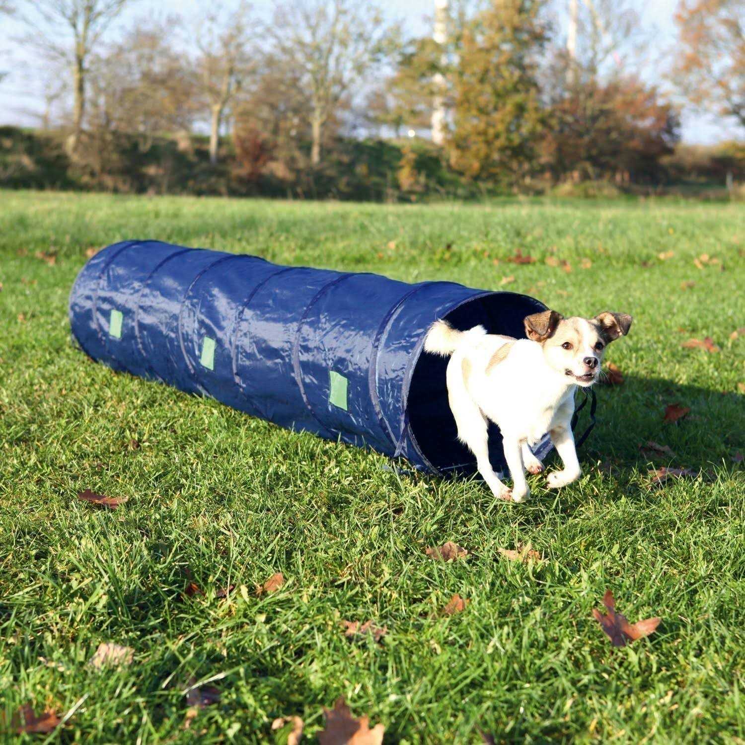Agility Tunnel B70035