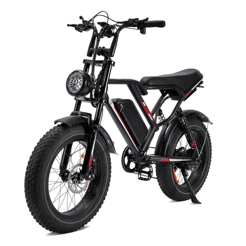 1000W 20" Fat Tire 48V 17.5AH Removable Battery Electric Bike V252