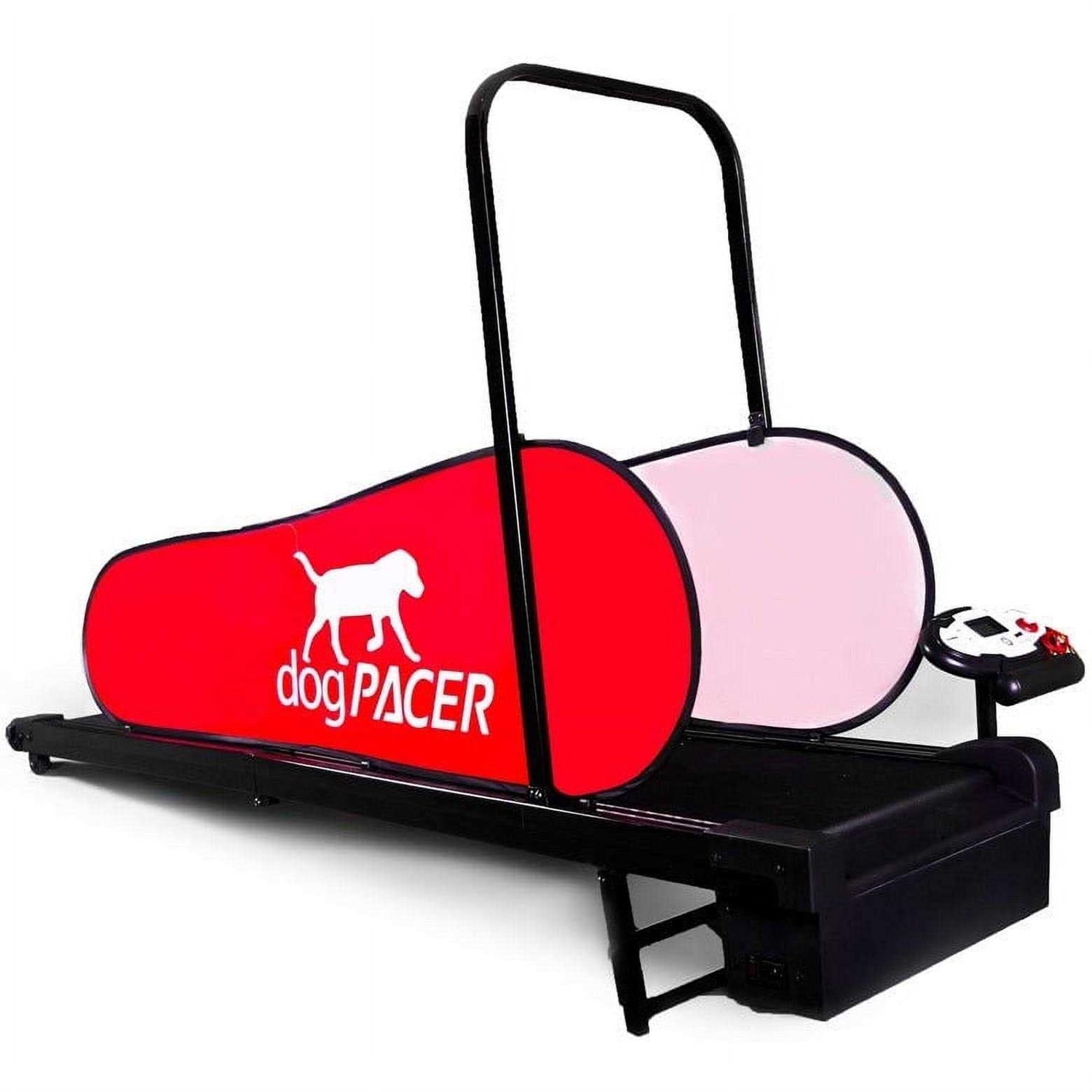 Dog Treadmill R4121