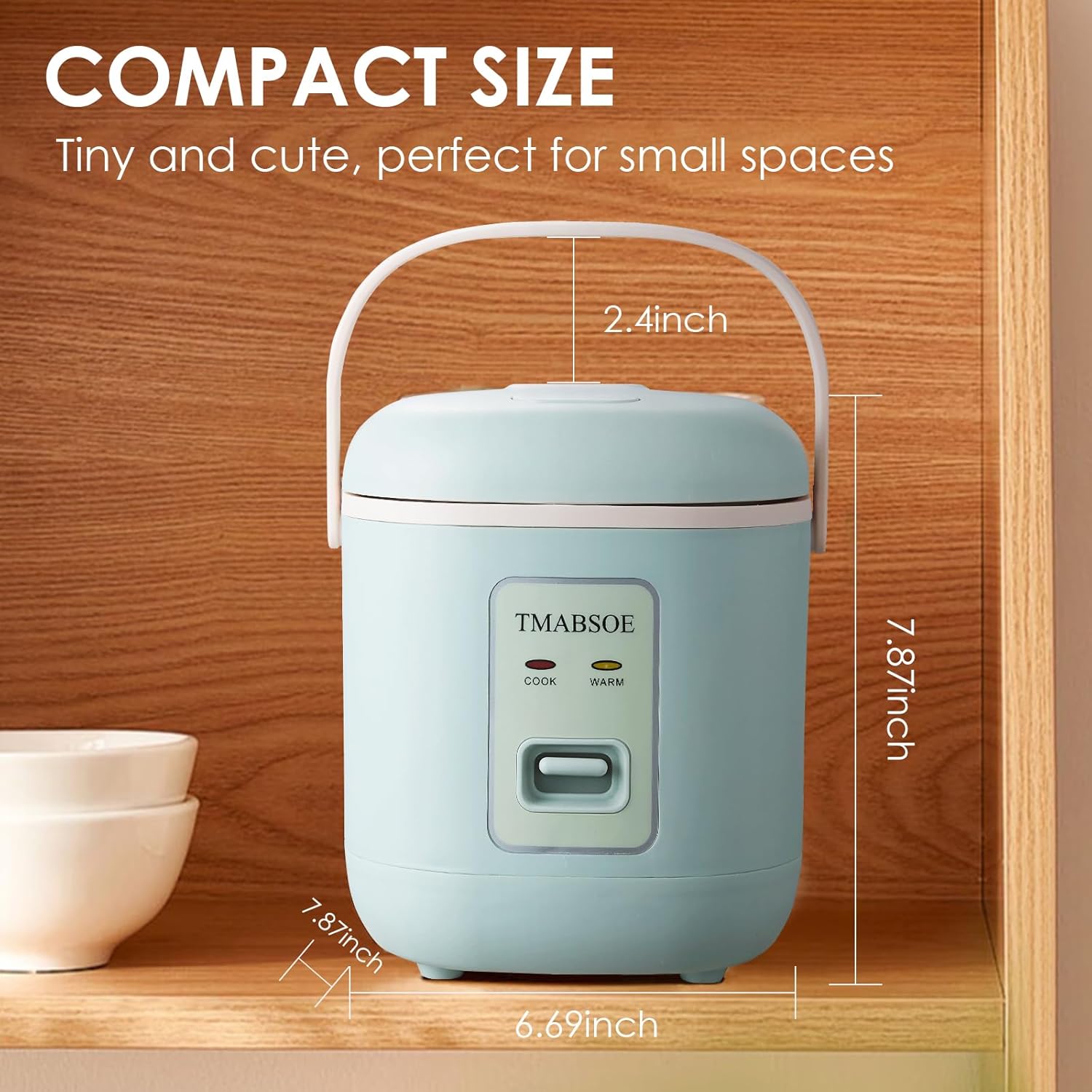 4 Cup 1.2L Mini Rice Cooker R245