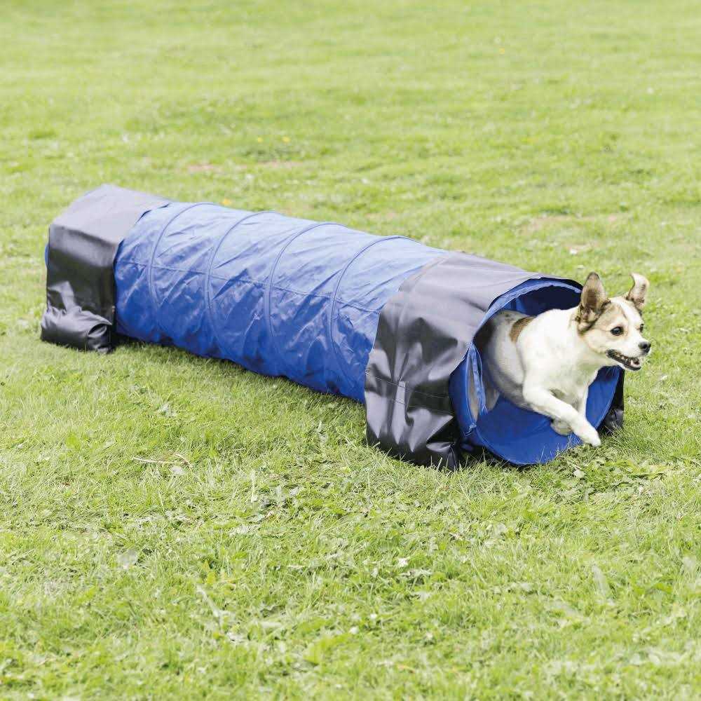Agility Tunnel B70035