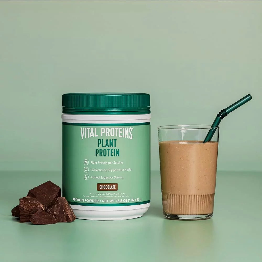 Chocolate Plant Protein Powder, 20g Protein, 16.5 oz L5756