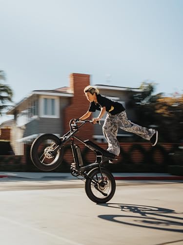 750W Electric Bike 20"x4" Fat Tires M95144