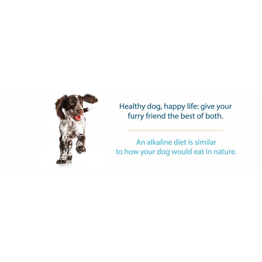 Grain Free Dry Dog Food H5909