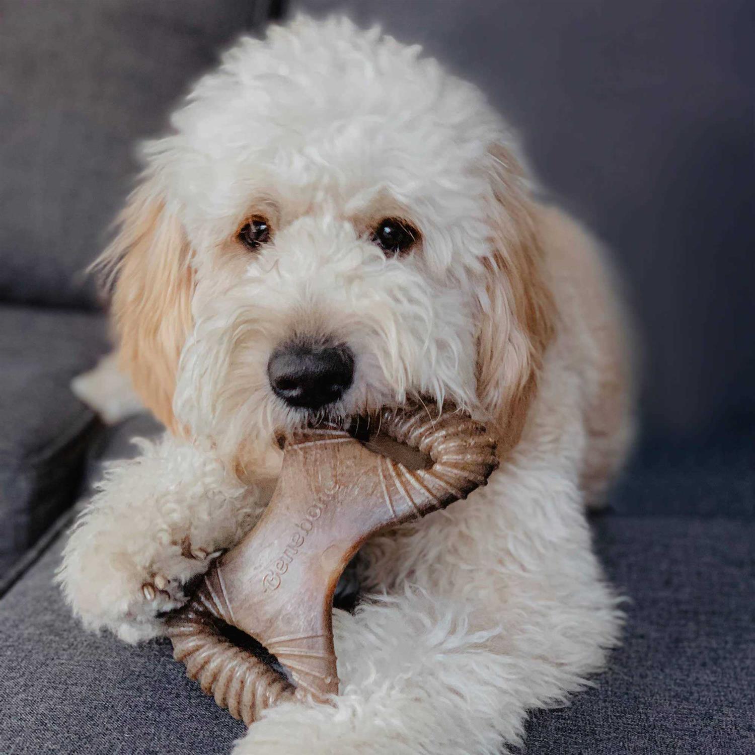 Bacon Dog Chew Toy E799756