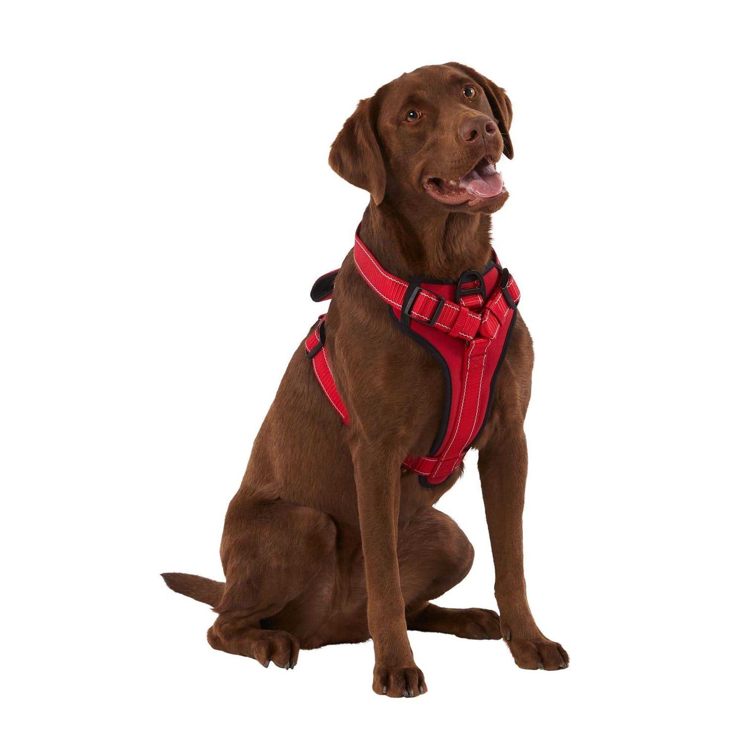Neoprene Padded Dog Harness J213