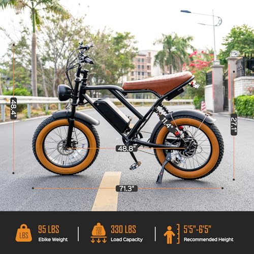 1000W 20" Fat Tire 48V 17.5AH Removable Battery Electric Bike V252
