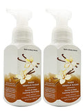 Gentle Foaming Hand Soap 8.75 Oz 2 Pack V676580