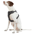 Ultra-Reflective Dog Harness W86819