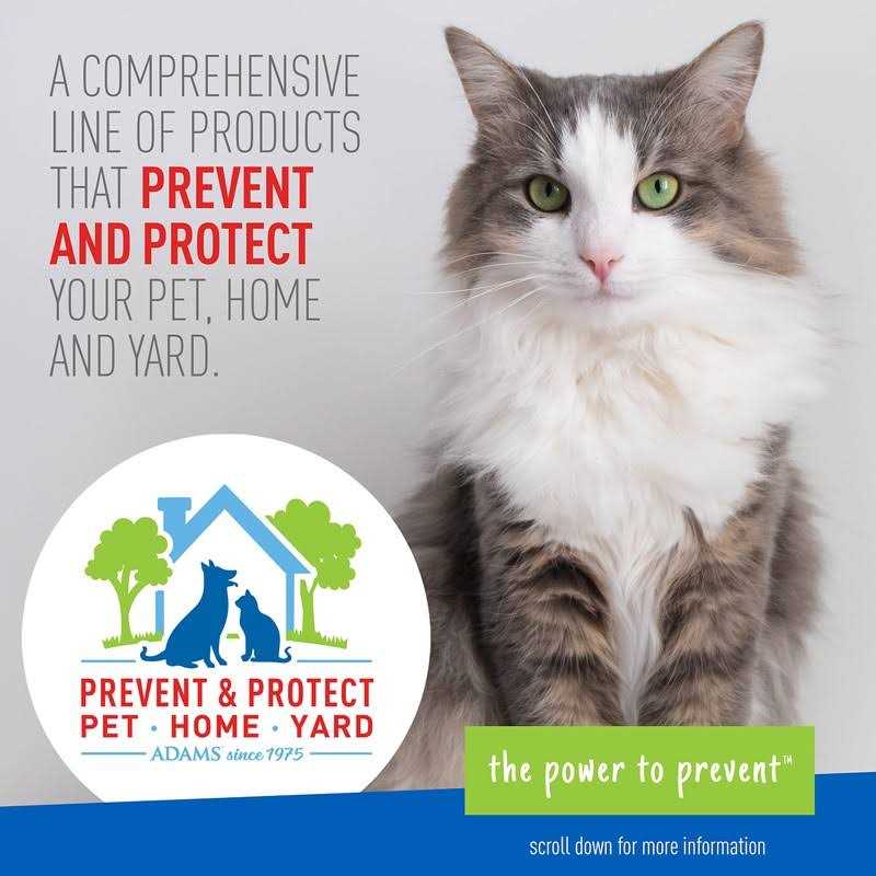 Flea & Tick Collar for Cats W8927