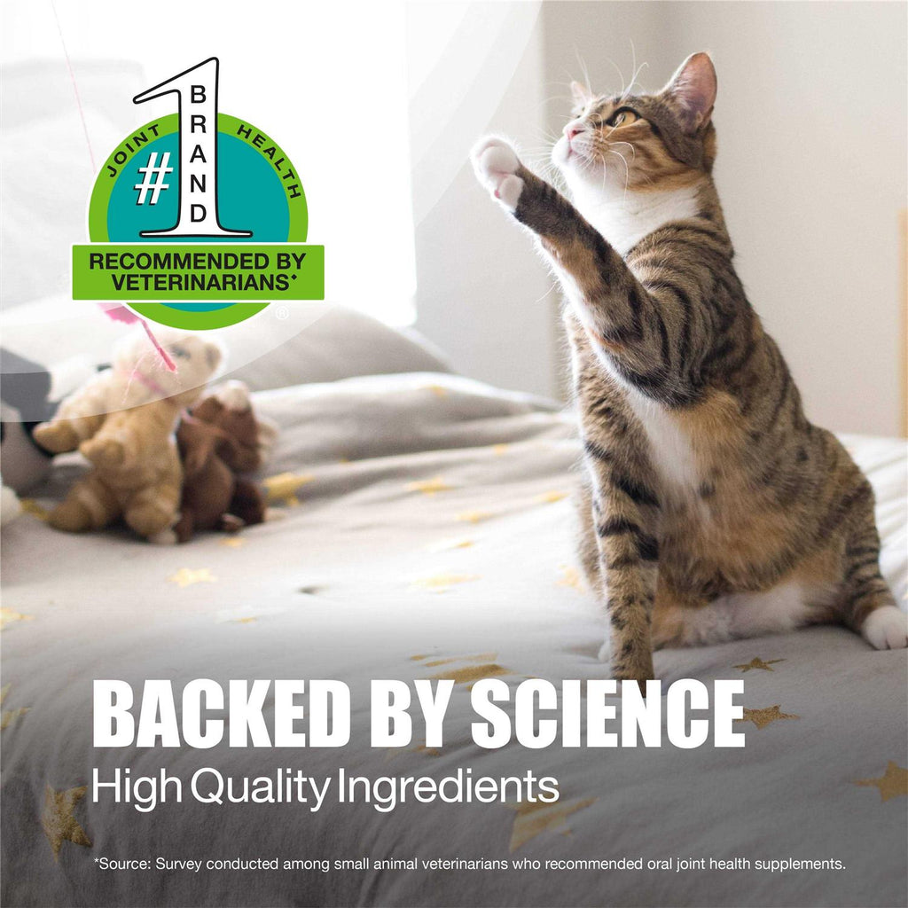 Dasuquin for Cats K432