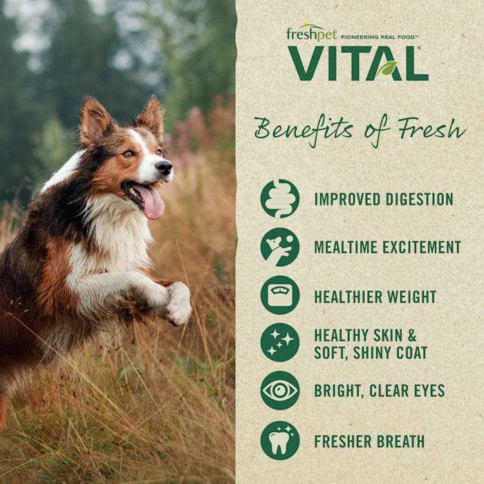 Chicken Dog Food U8320