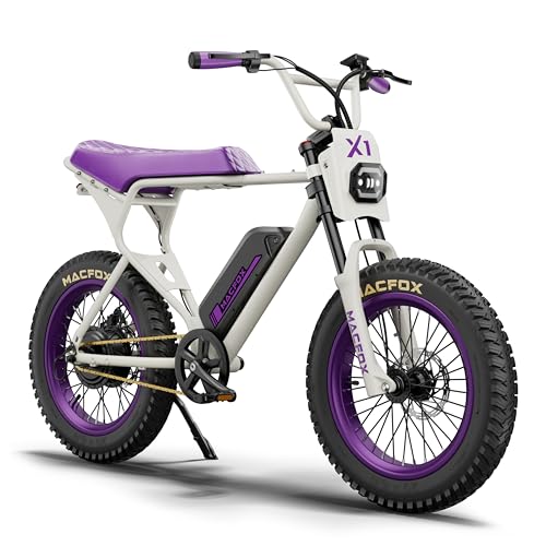 750W Electric Bike 20"x4" Fat Tires M95144
