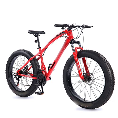 Electric Mountain Bike with Fat Tire S414