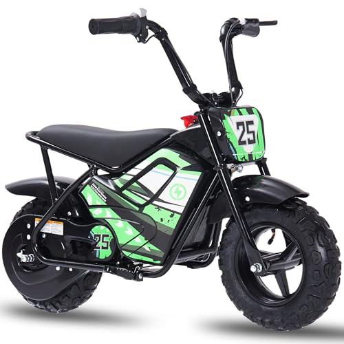 250W 24V 9Ah Electric Bike X91290