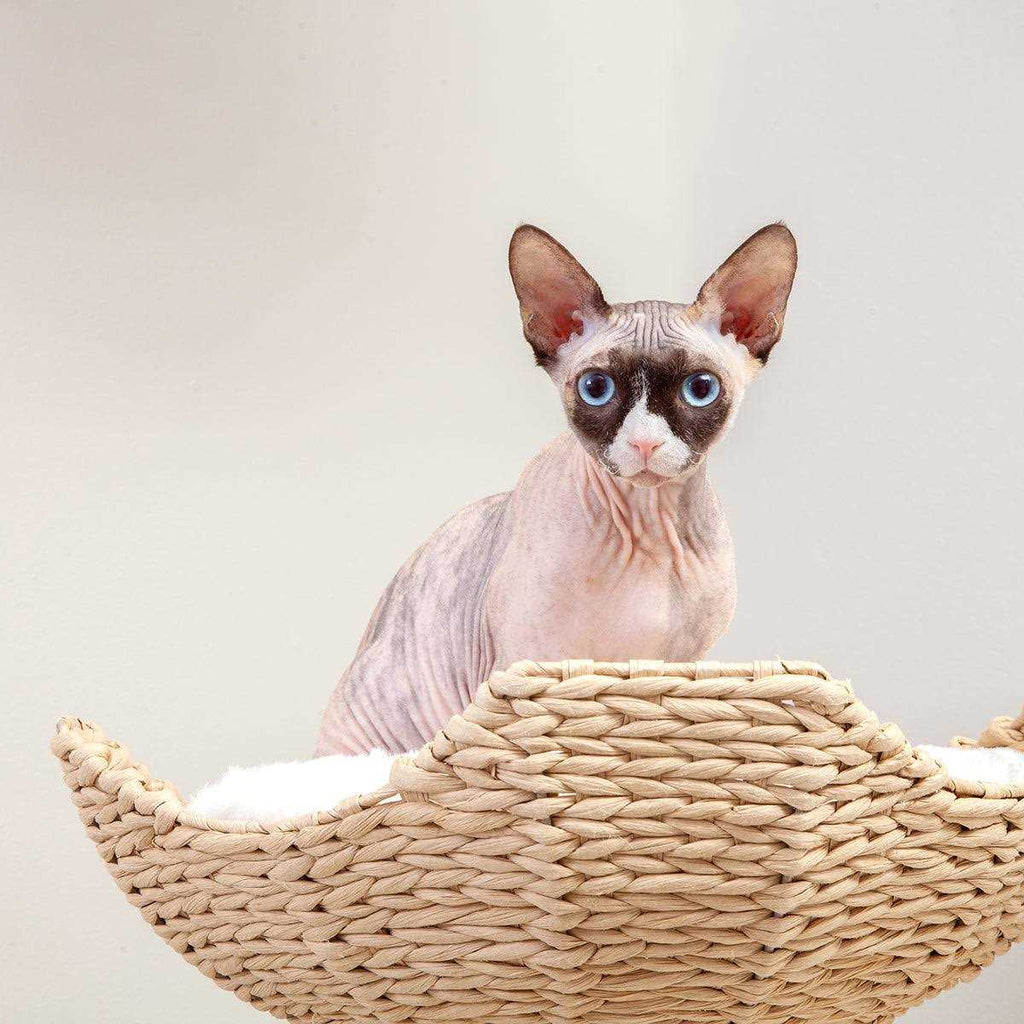 Modern Cat Tree Elevated Tower O908