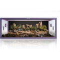 85 Gallon Reptile Tank P3224