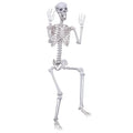 5.9Ft Posable Plastic Skeleton K969