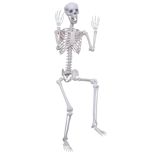 5.9Ft Posable Plastic Skeleton K969