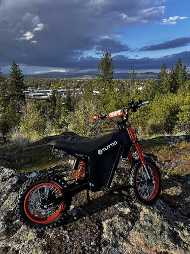 Electric Dirt Bike 2000W, 37MPH Speed, 14"/12" Fat Tires Electric Motorcycle, 48V 21AH Battery L789818