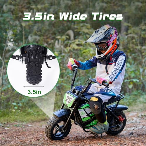 250W 24V 9Ah Electric Bike X91290