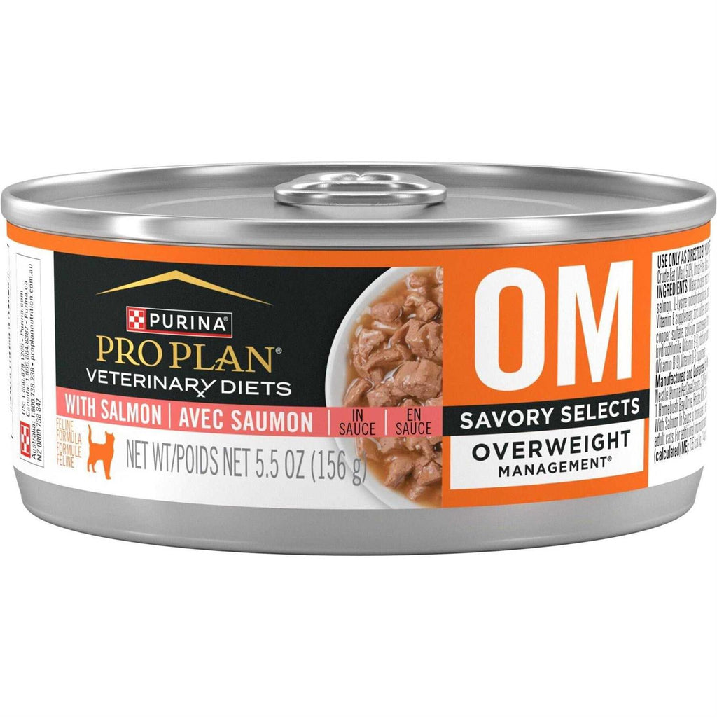 Wet Cat Food with Salmon N568085