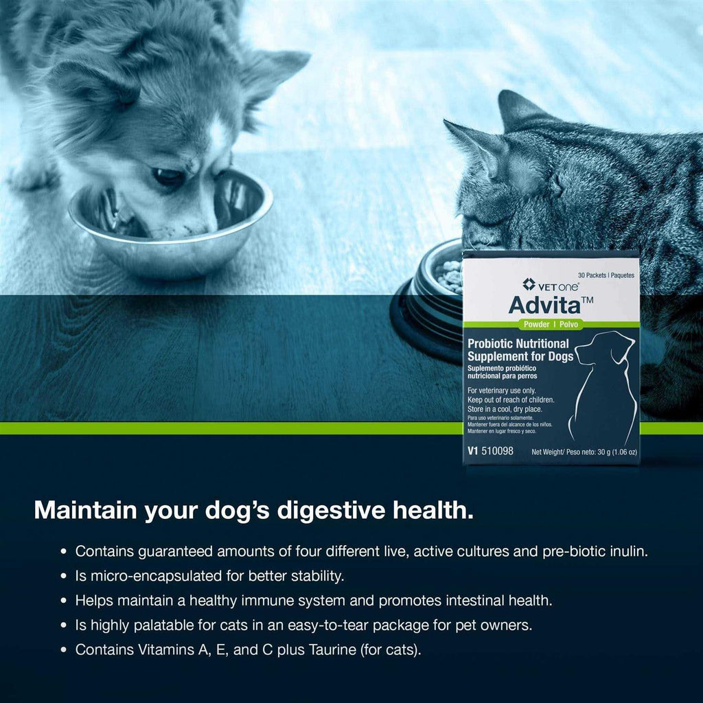 Probiotic Nutritional Supplement for Dogs B734