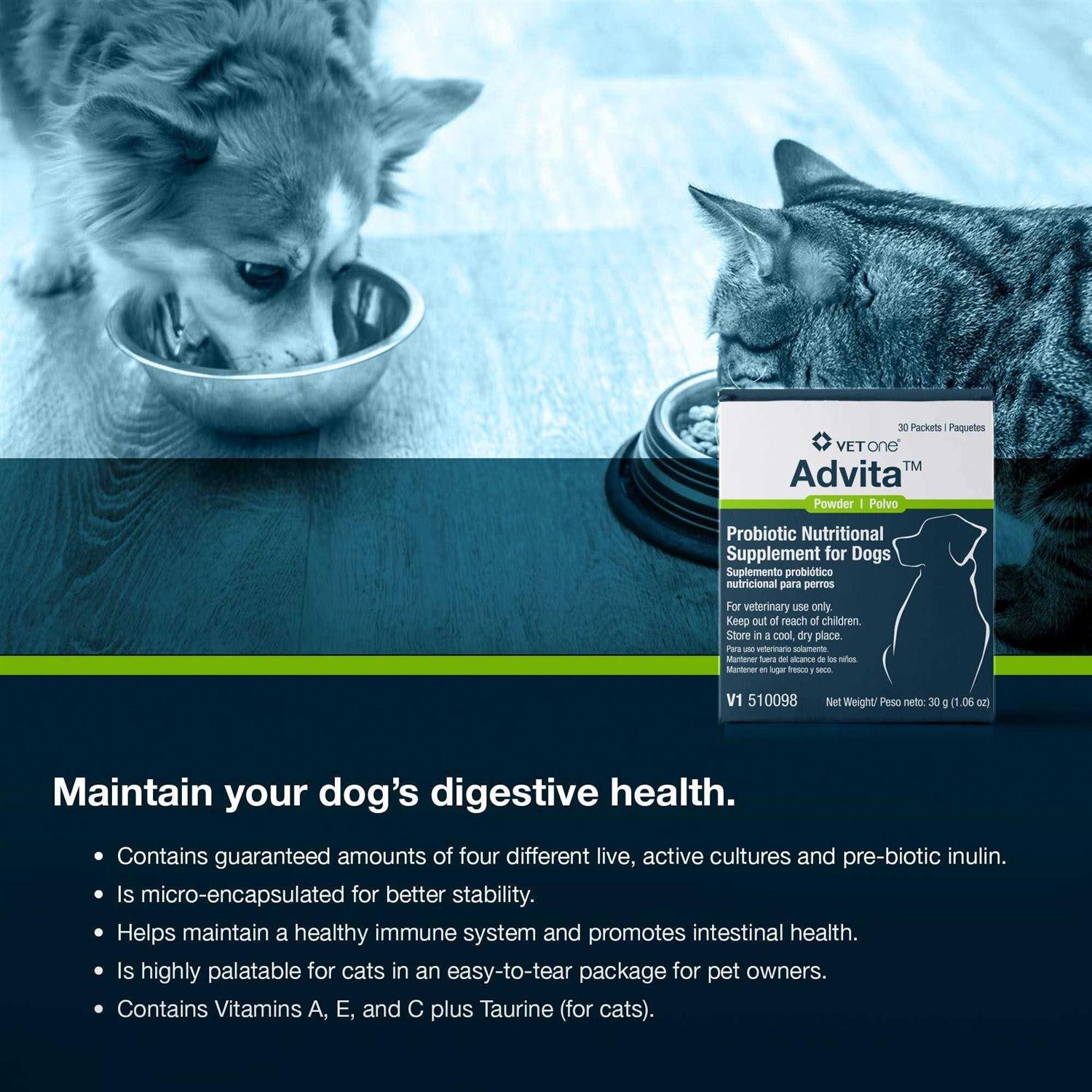 Probiotic Nutritional Supplement for Dogs B734