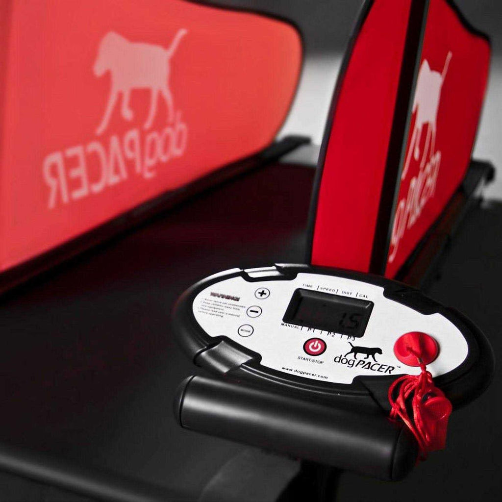 Dog Treadmill R4121