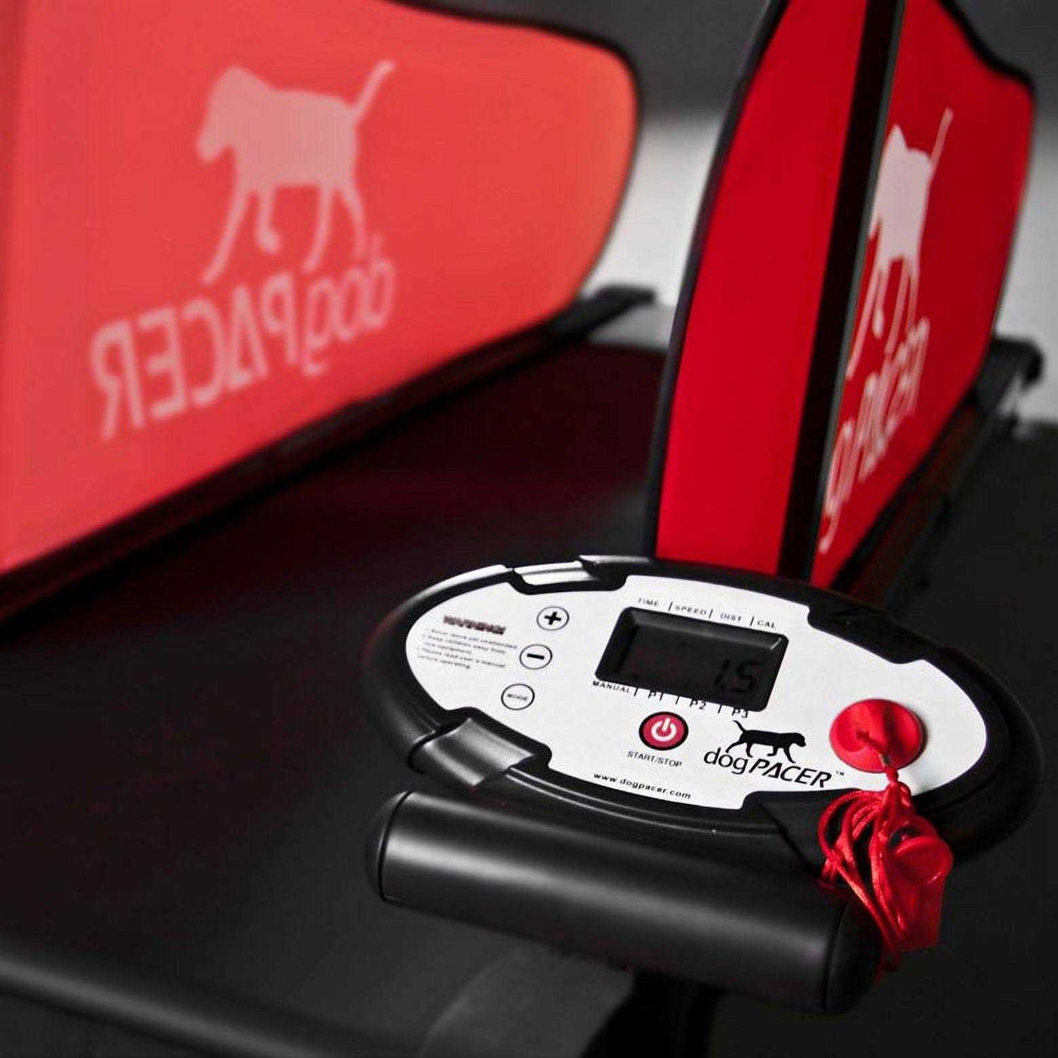 Dog Treadmill R4121
