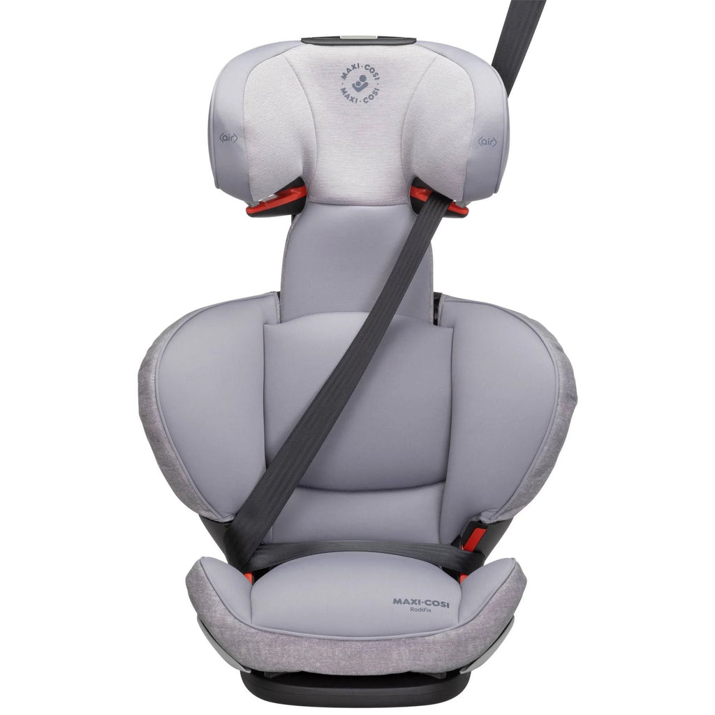 Booster Car Seat - Nomad Grey E273417