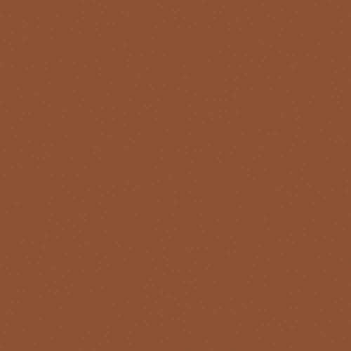 Concealer (Shade 5 of 6) X81297