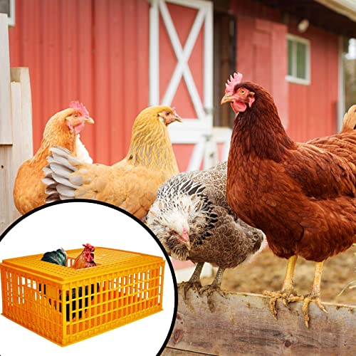 Plastic Poultry Carrier Crate for 13 Adult Chickens, 29.5 x 21.7 x 13 Inch F703656