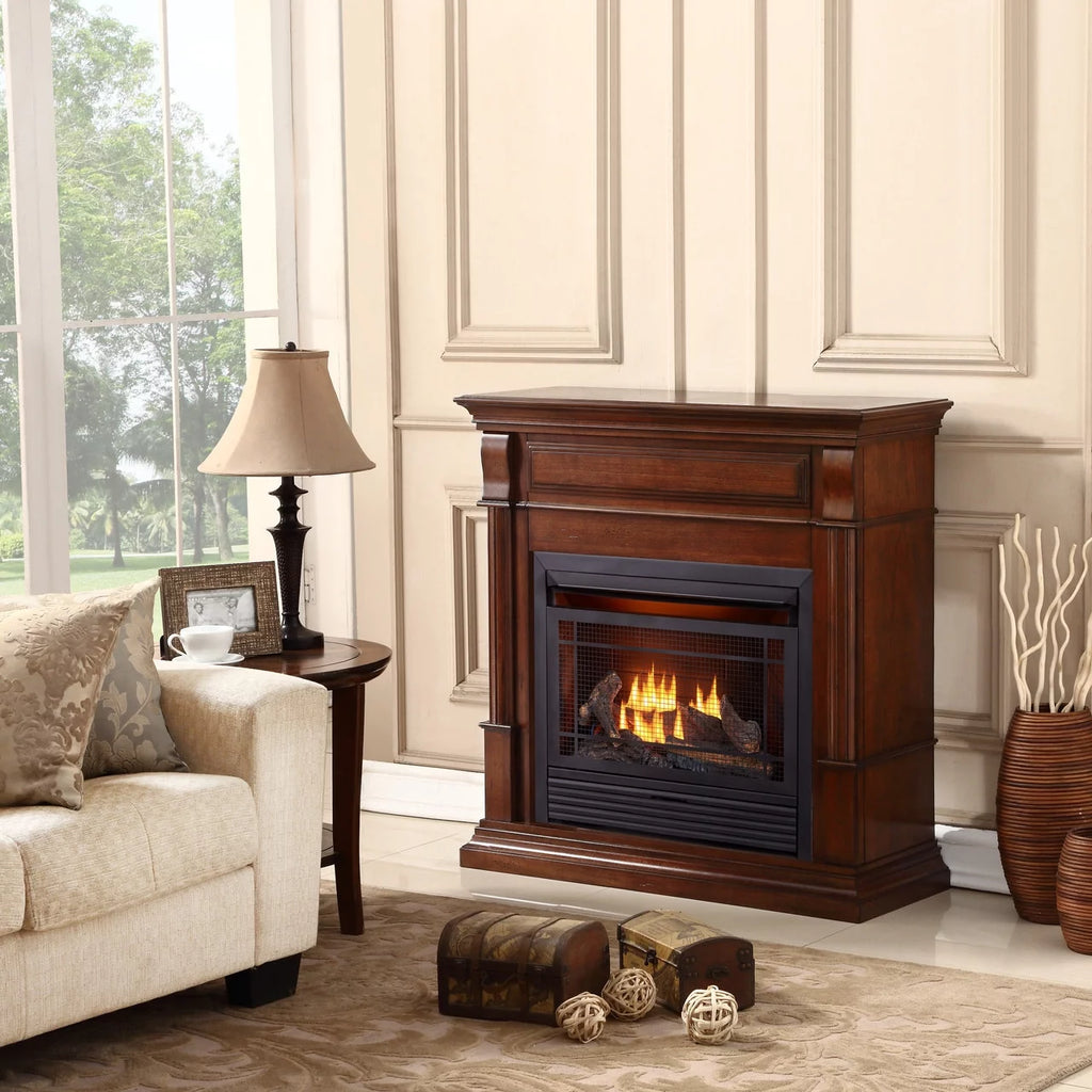 26,000 BTU Dual Fuel Ventless Gas Fireplace with Remote Control O386
