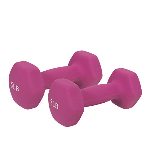 Neoprene Coated Hex Dumbbell Sold in Pairs K992