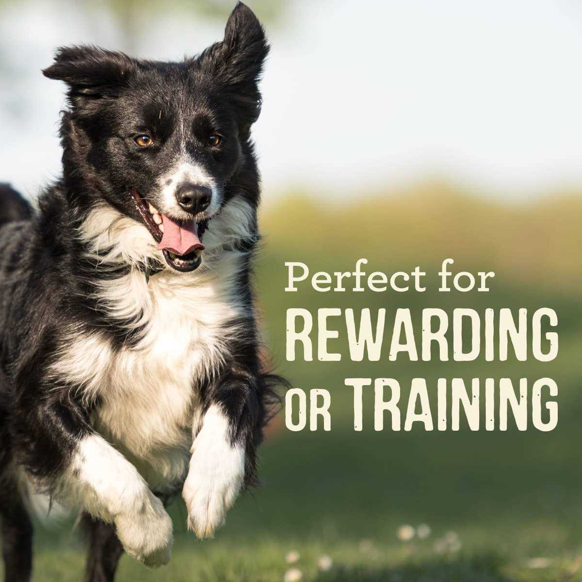 Power Bites Dog Treats B8803