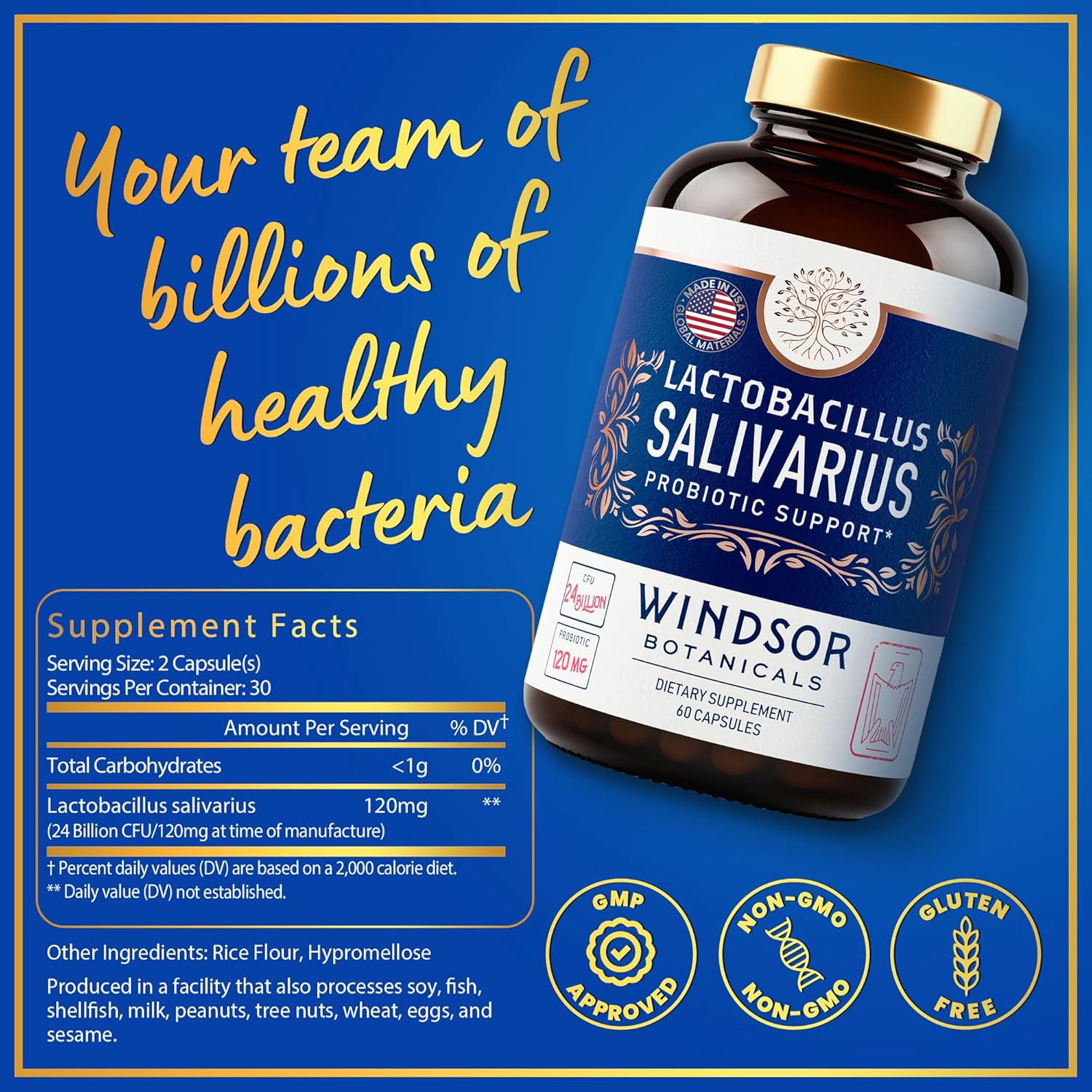 Lactobacillus Salivarius Probiotic Capsules, 24bn CFU, 2-Pack 120 Caps L236