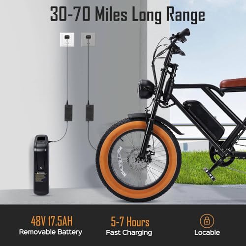 1000W 20" Fat Tire 48V 17.5AH Removable Battery Electric Bike V252