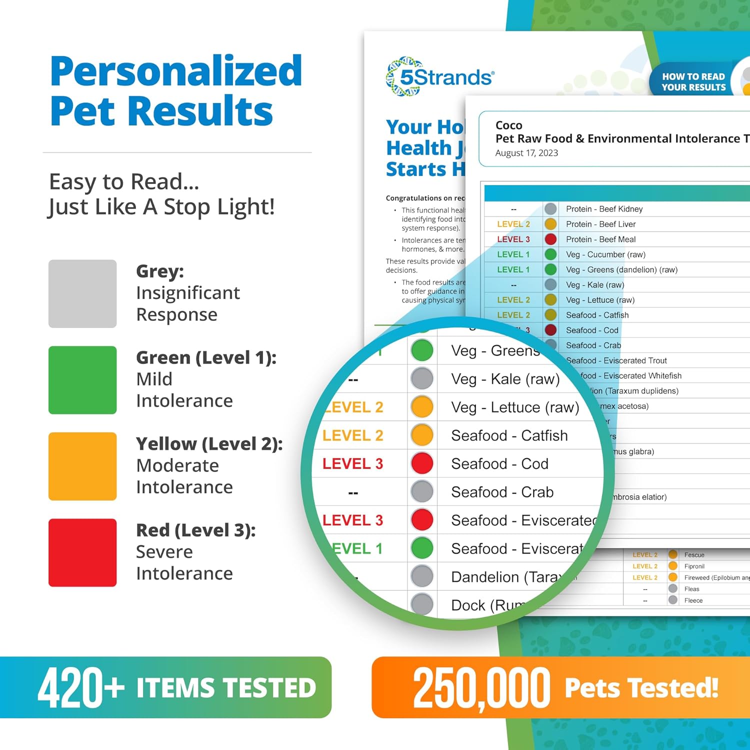 Pet Raw Food Intolerance & Environmental Sensitivity Test, Hair Sample Collection Kit H2716