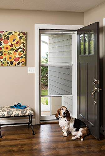 White 32-in x 81-in Storm Door W495