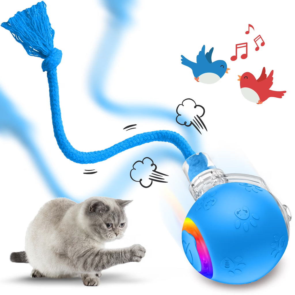 Blue Motion-Activated Rolling Cat Toy with Tail U88332