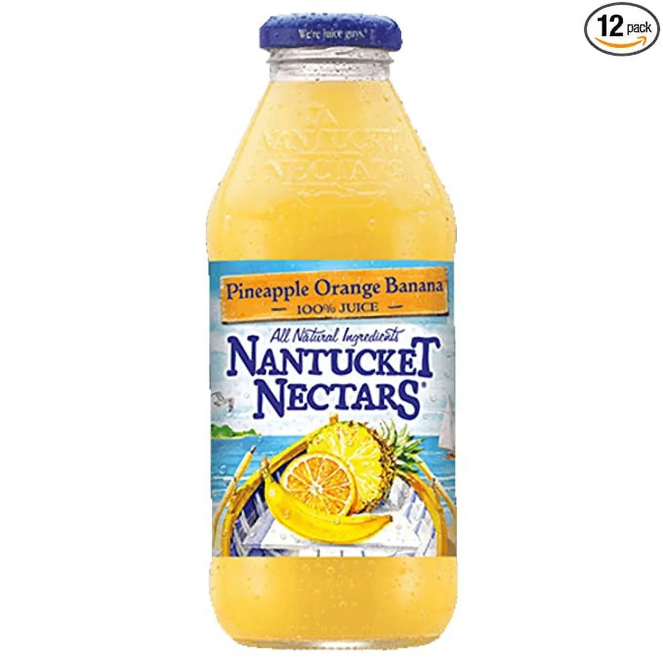 15.9 oz All Natural Juice Family Pack (12 Plastic Bottles) N14050