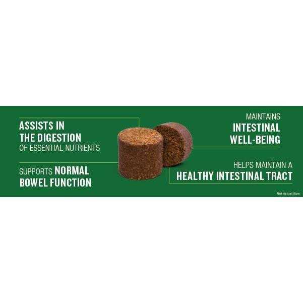 Probiotic Soft Chew Supplement for Dogs C408043