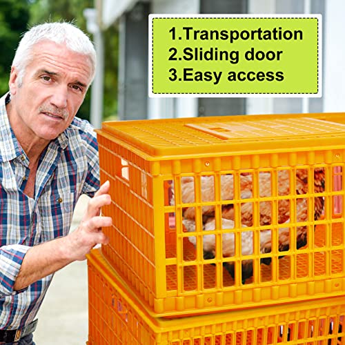 Plastic Poultry Carrier Crate for 13 Adult Chickens, 29.5 x 21.7 x 13 Inch F703656